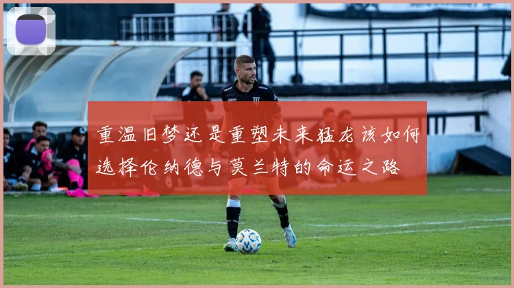 重温旧梦还是重塑未来猛龙该如何选择伦纳德与莫兰特的命运之路